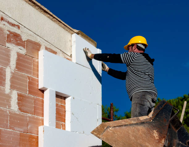 Best Specialized Insulation Services in Wentworth, NC