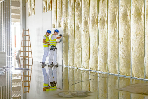 Trusted Wentworth, NC Insulation Contractor Experts